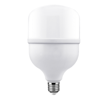 Classic Series LED T Bulb