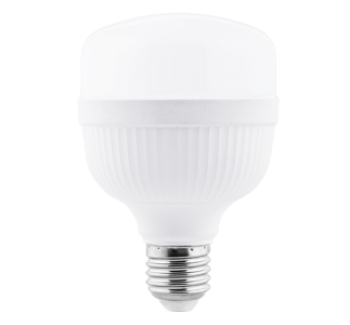 Vision Series LED T Bulb