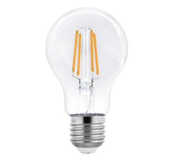 LED Filament Bulb A60